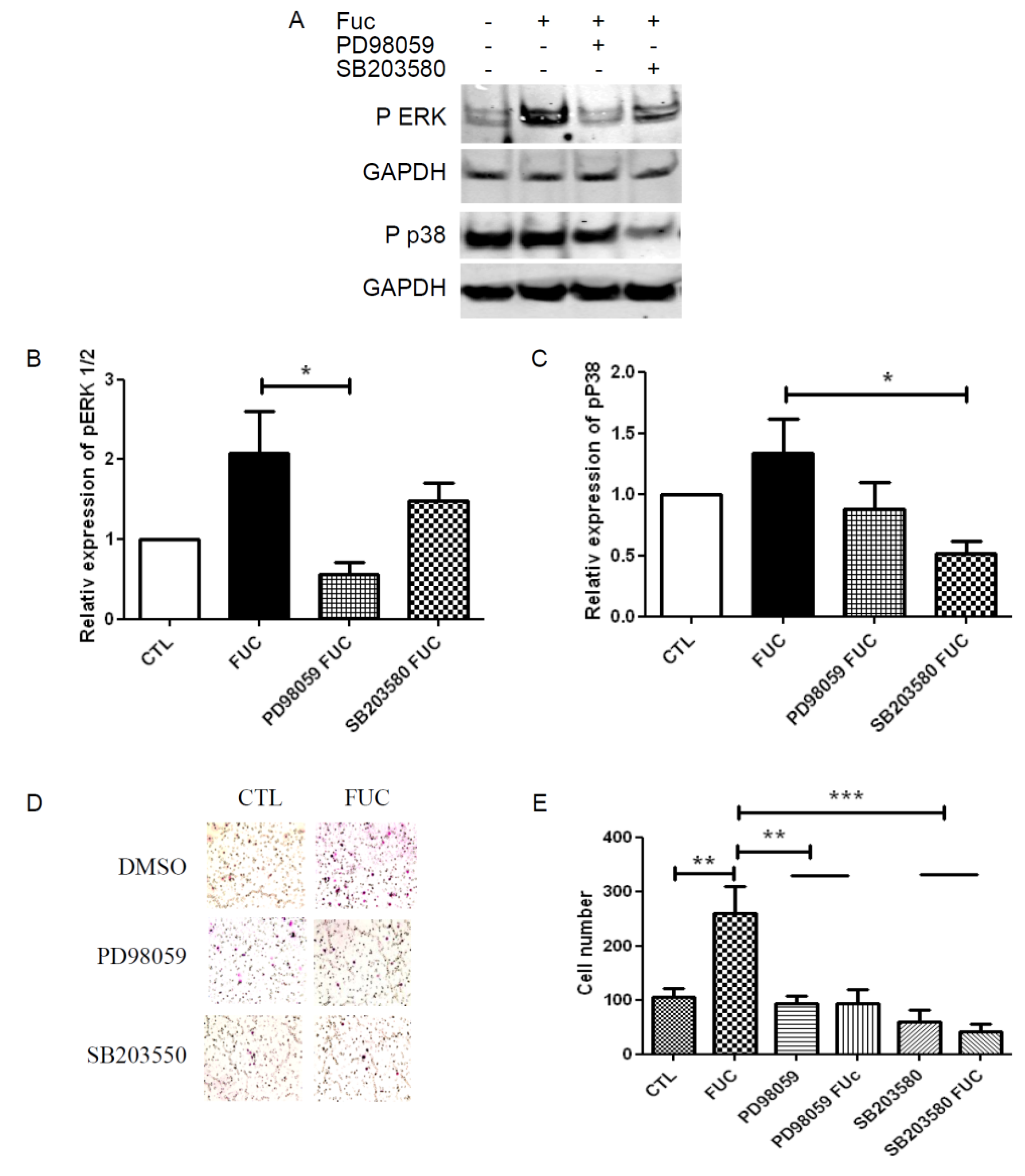 Marinedrugs 13 04156 g004