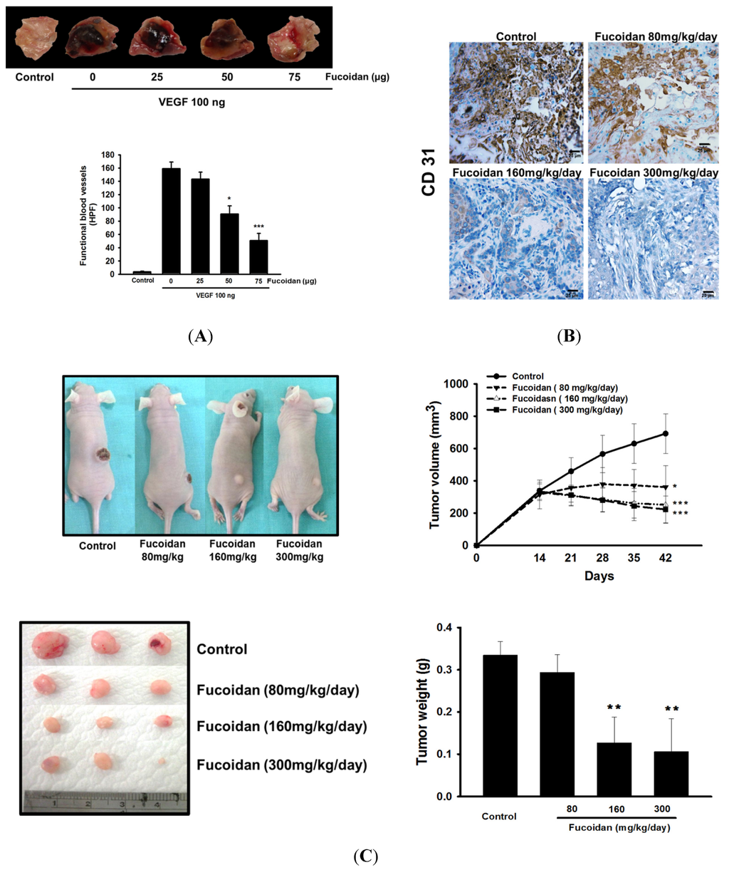 Marinedrugs 13 04436 g002 1024