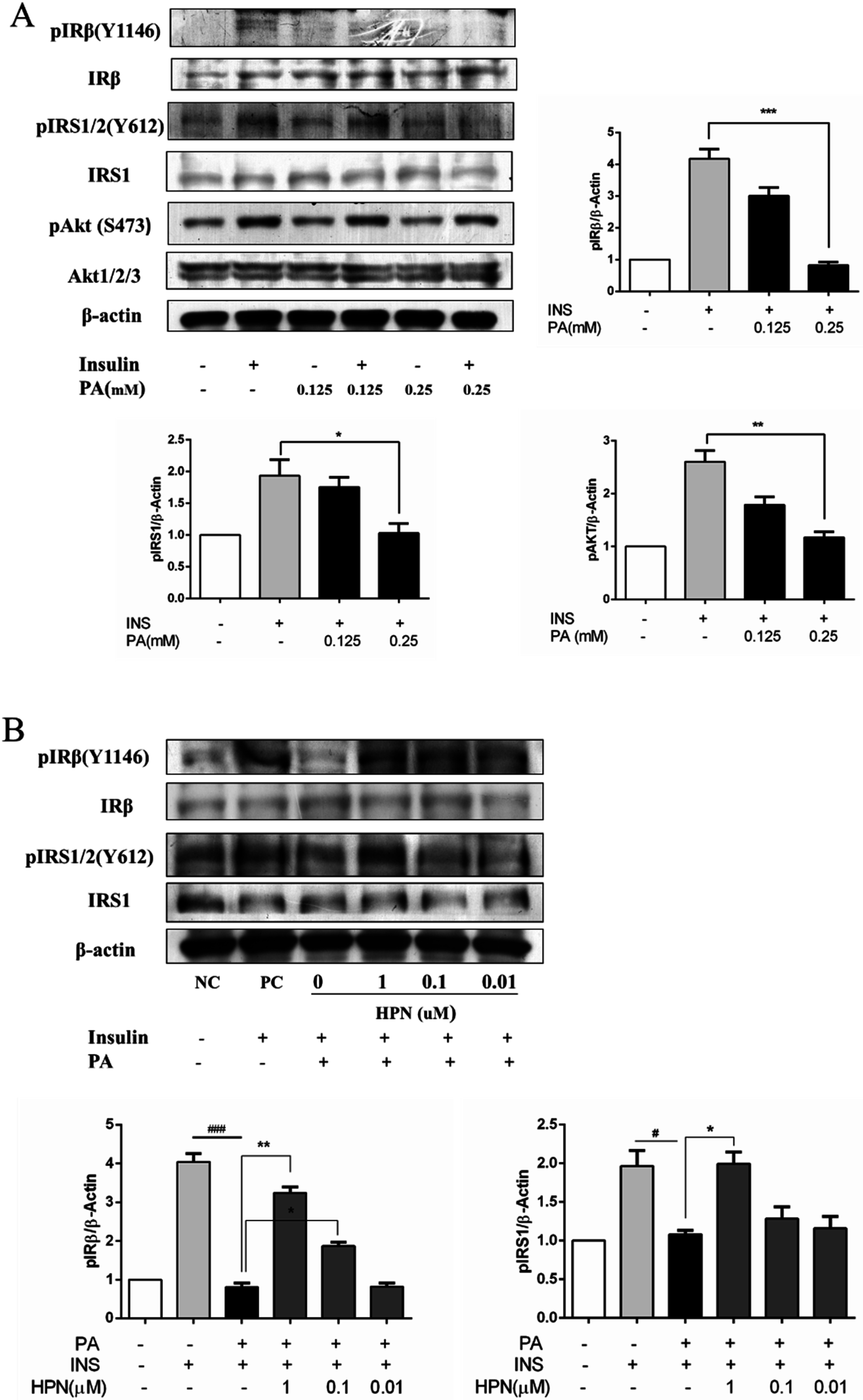 Marinedrugs 13 04452 g004