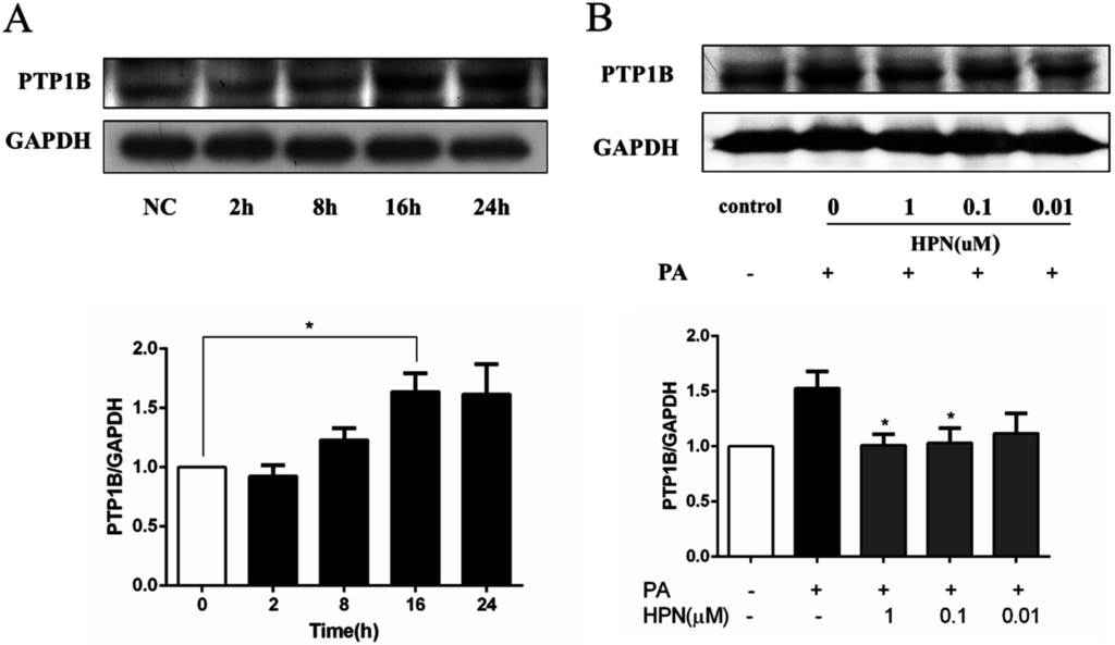 Marinedrugs 13 04452 g005 1024