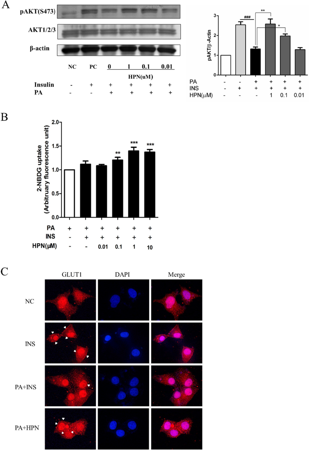 Marinedrugs 13 04452 g006 1024