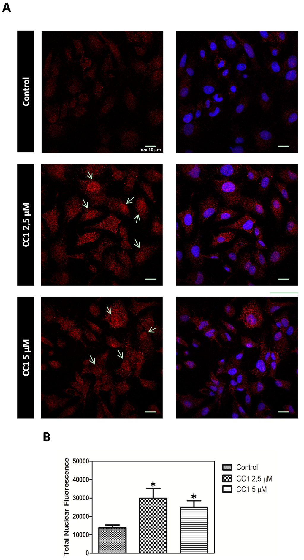 Marinedrugs 13 04633 g007 1024