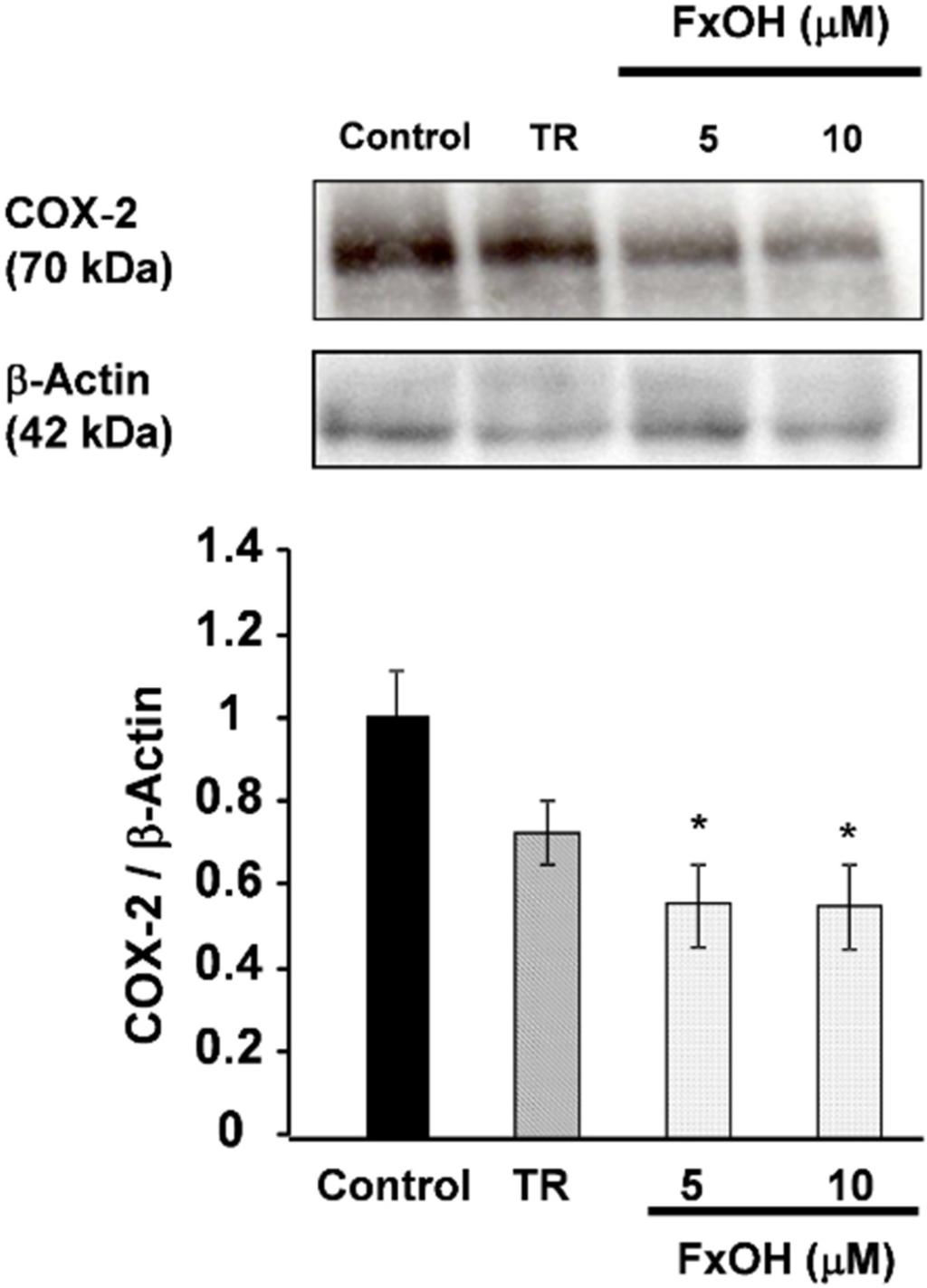 Marinedrugs 13 04799 g007 1024