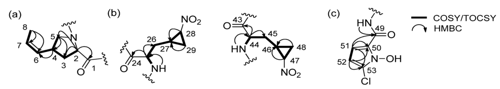 Marinedrugs 13 05187 g002 1024