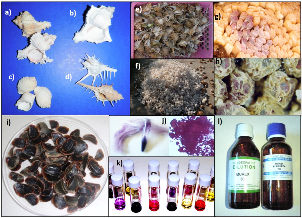 Marinedrugs 13 05237 g001 1024