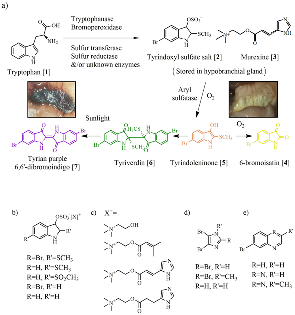 Marinedrugs 13 05237 g002 1024