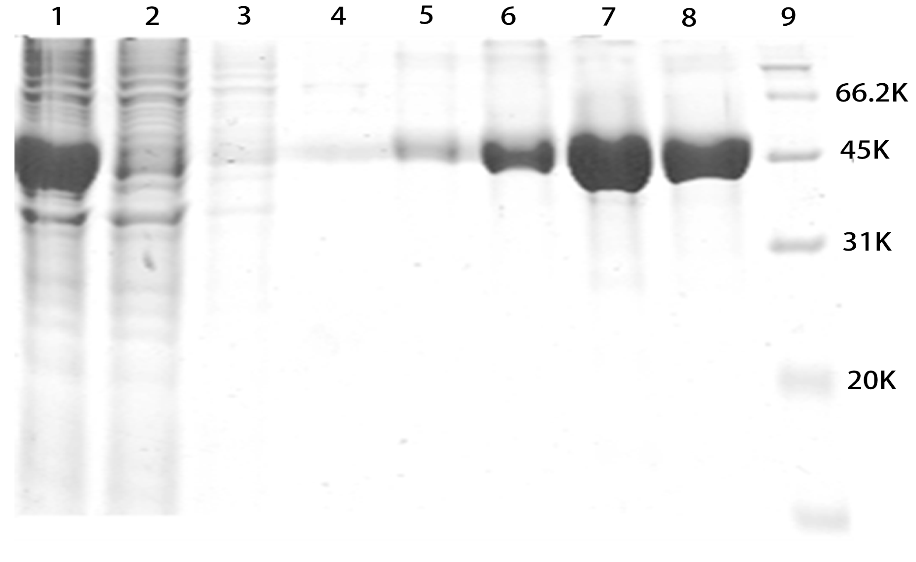 Marinedrugs 13 05492 g002