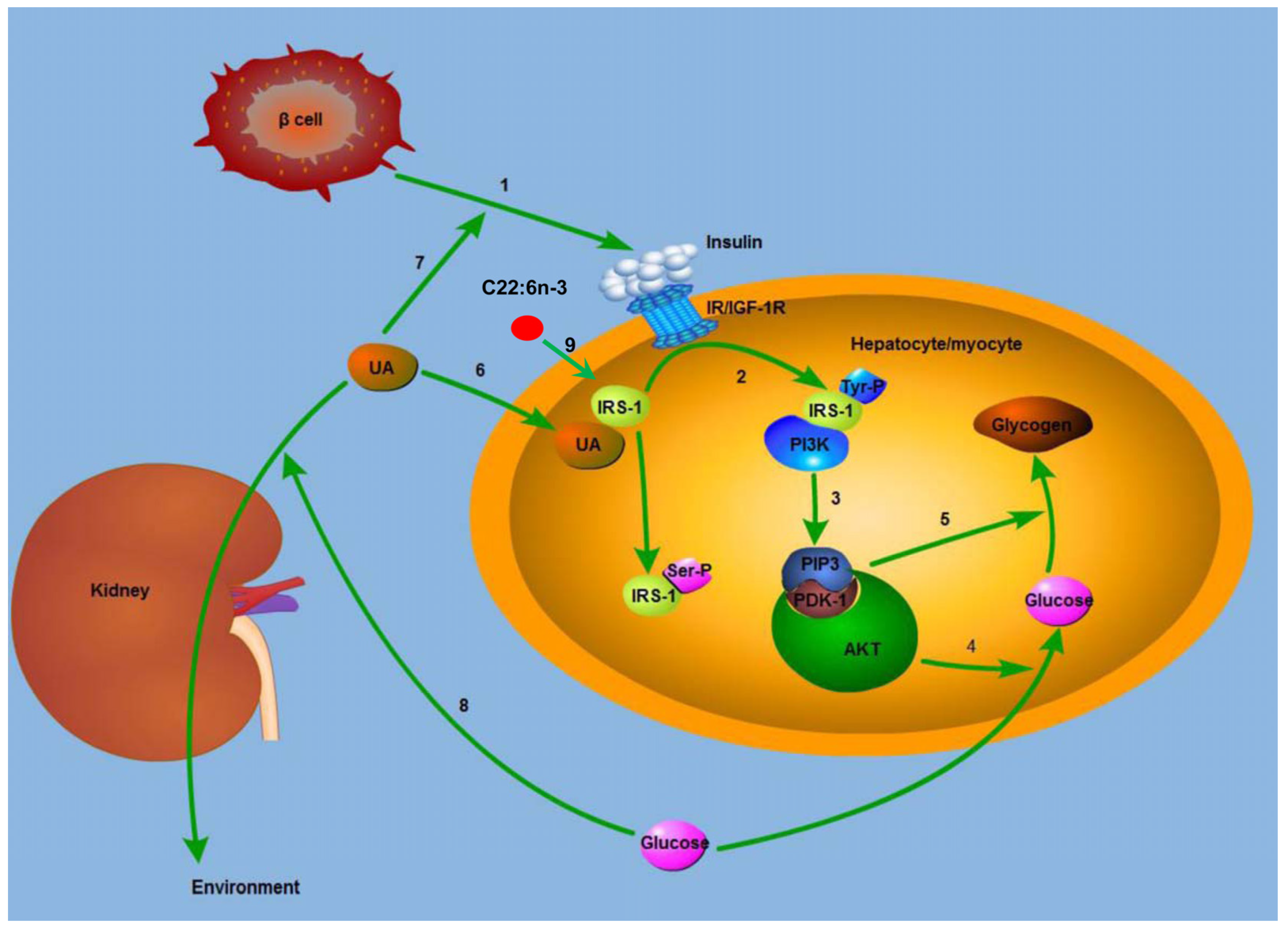 Marinedrugs 13 05564 g005