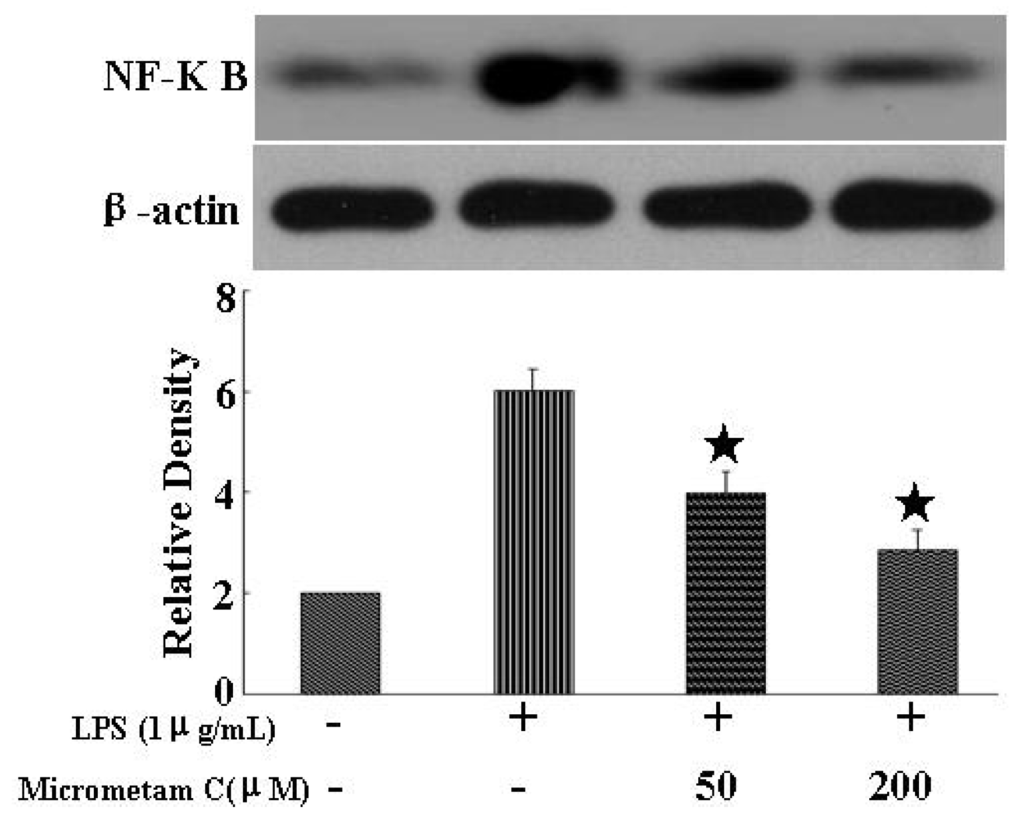 Marinedrugs 13 05593 g008 1024