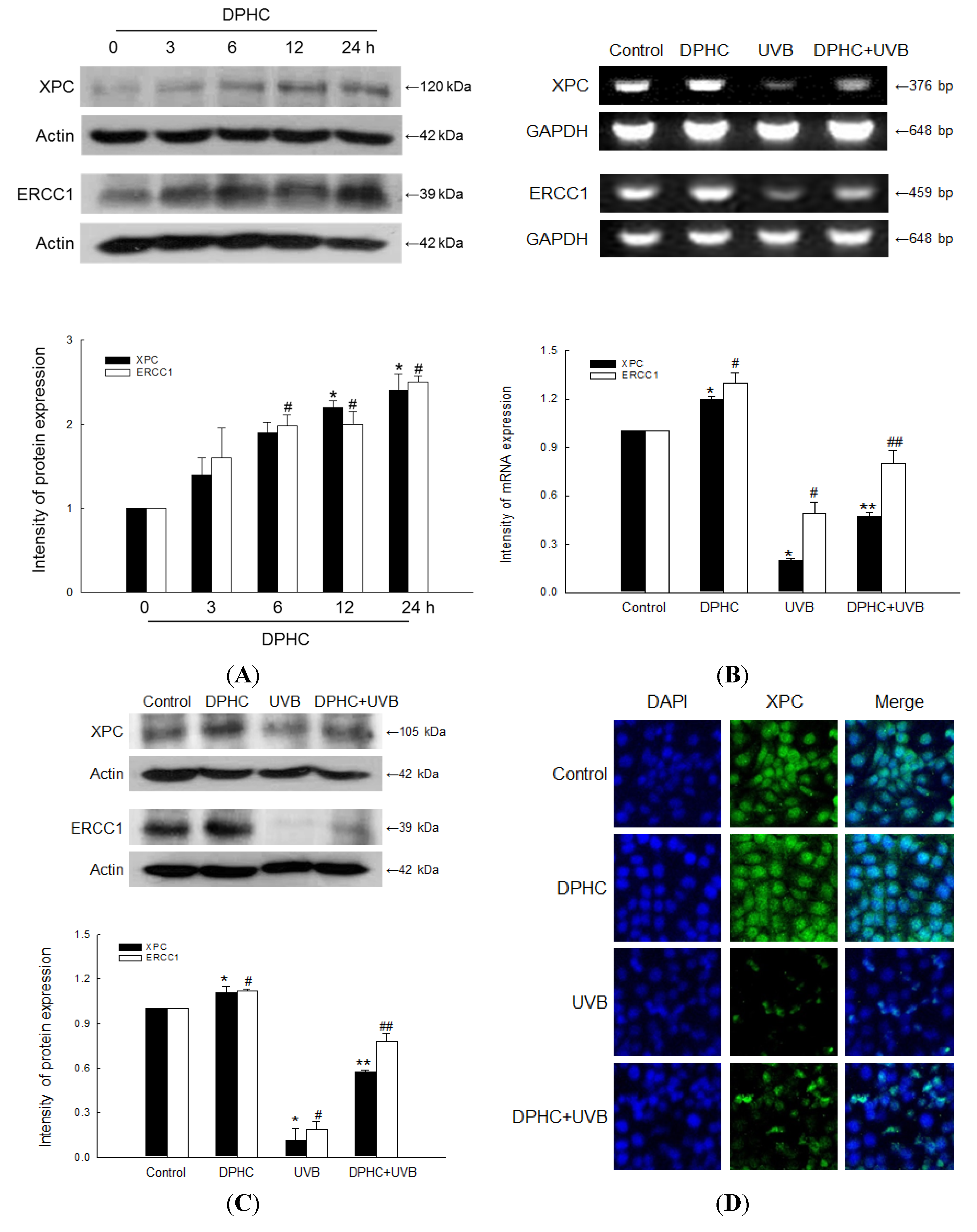 Marinedrugs 13 05629 g002a