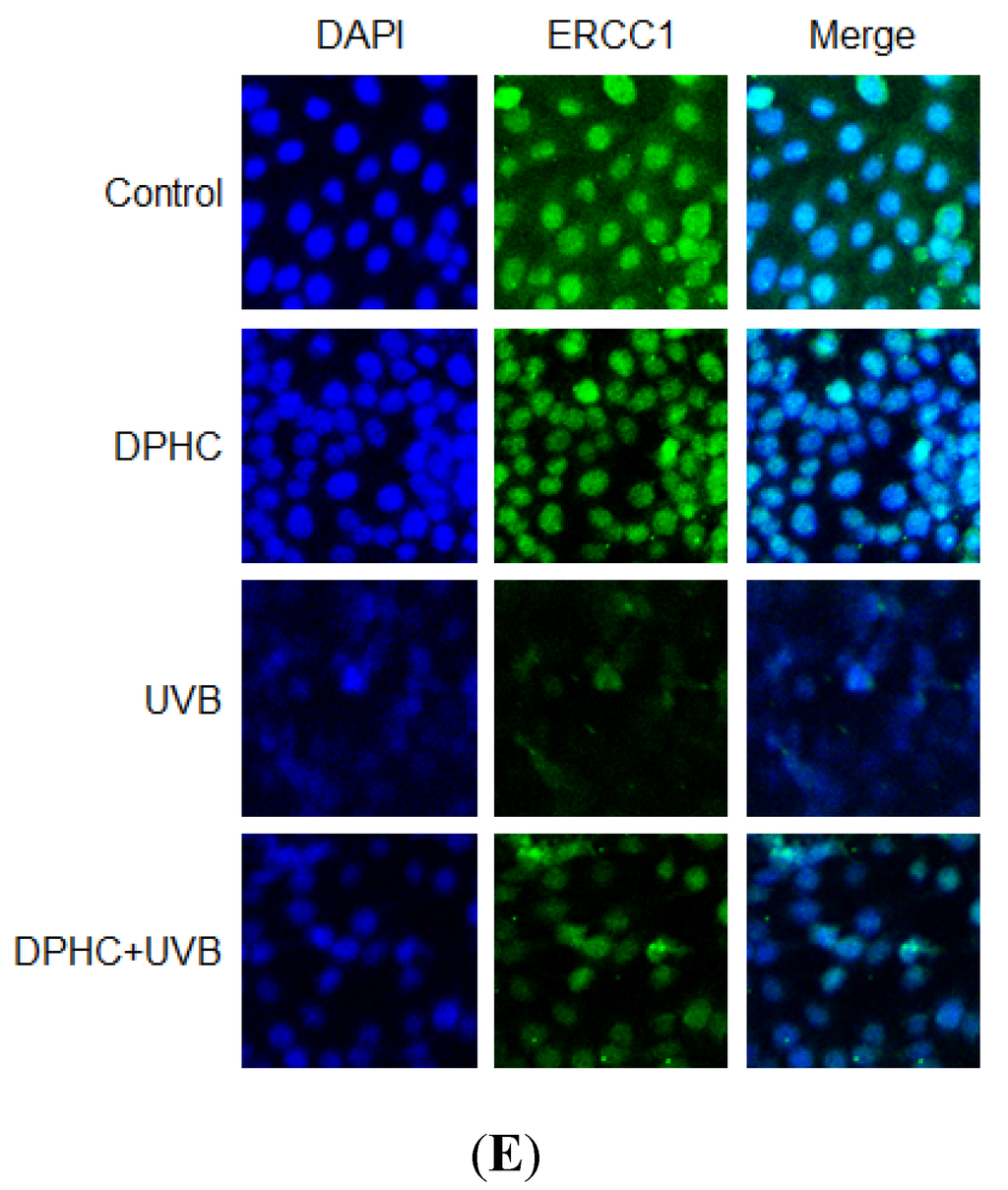 Marinedrugs 13 05629 g002b 1024