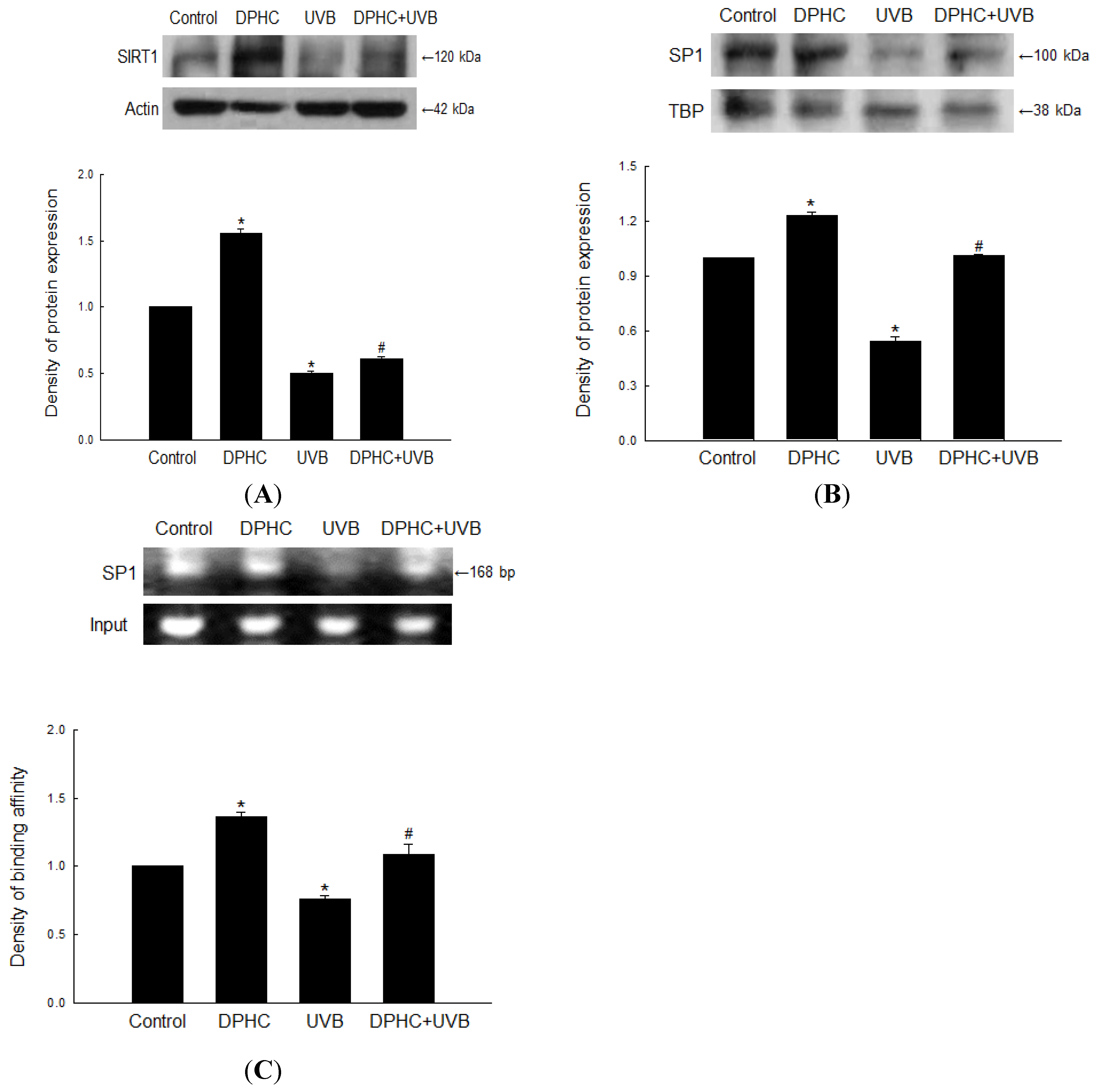Marinedrugs 13 05629 g003