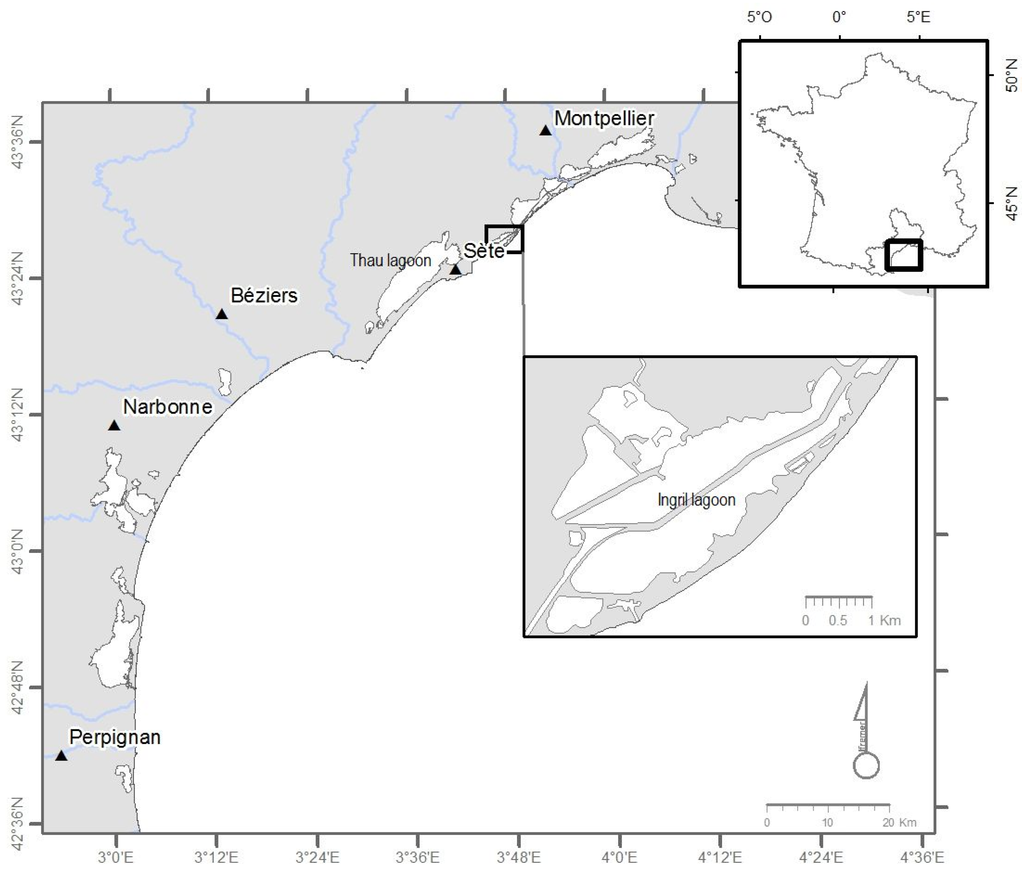 Marinedrugs 13 05642 g001 1024