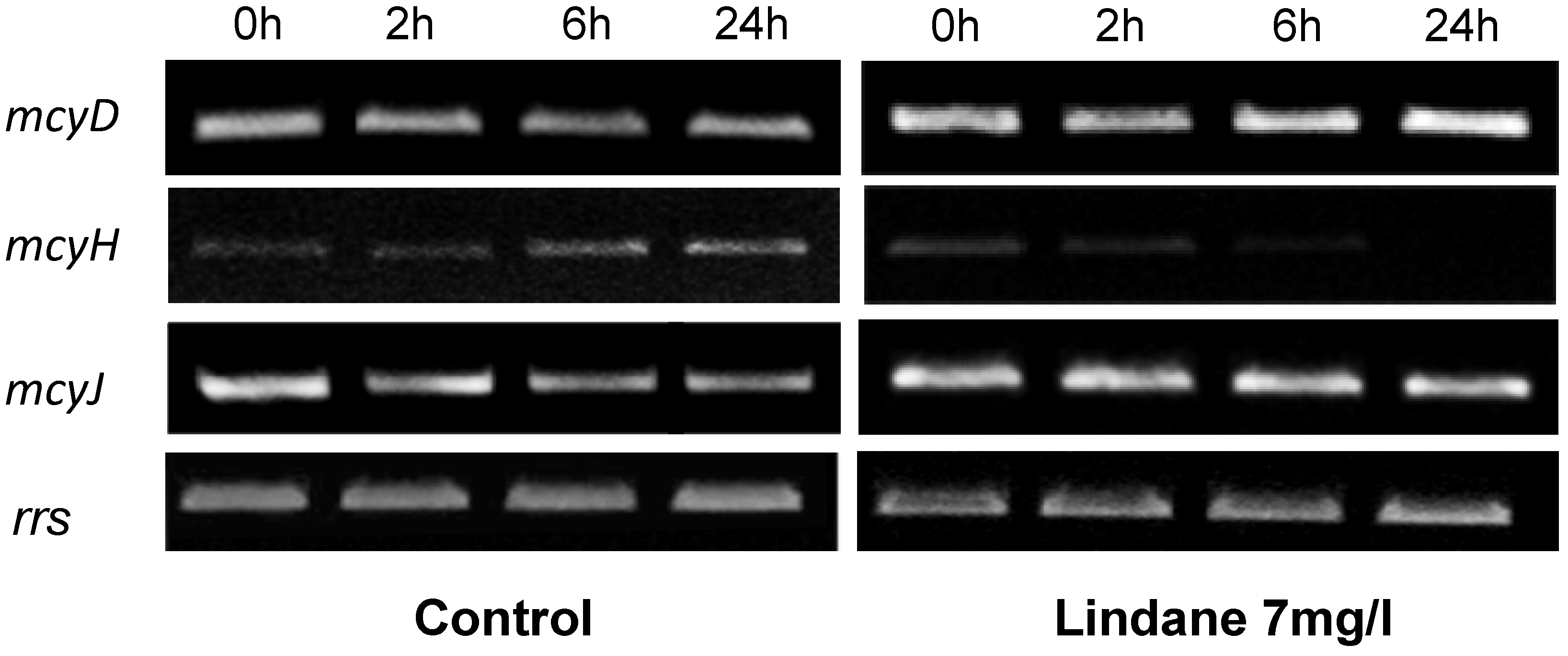 Marinedrugs 13 05666 g005