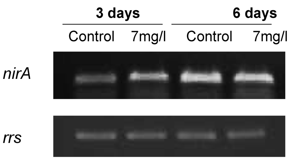 Marinedrugs 13 05666 g007 1024