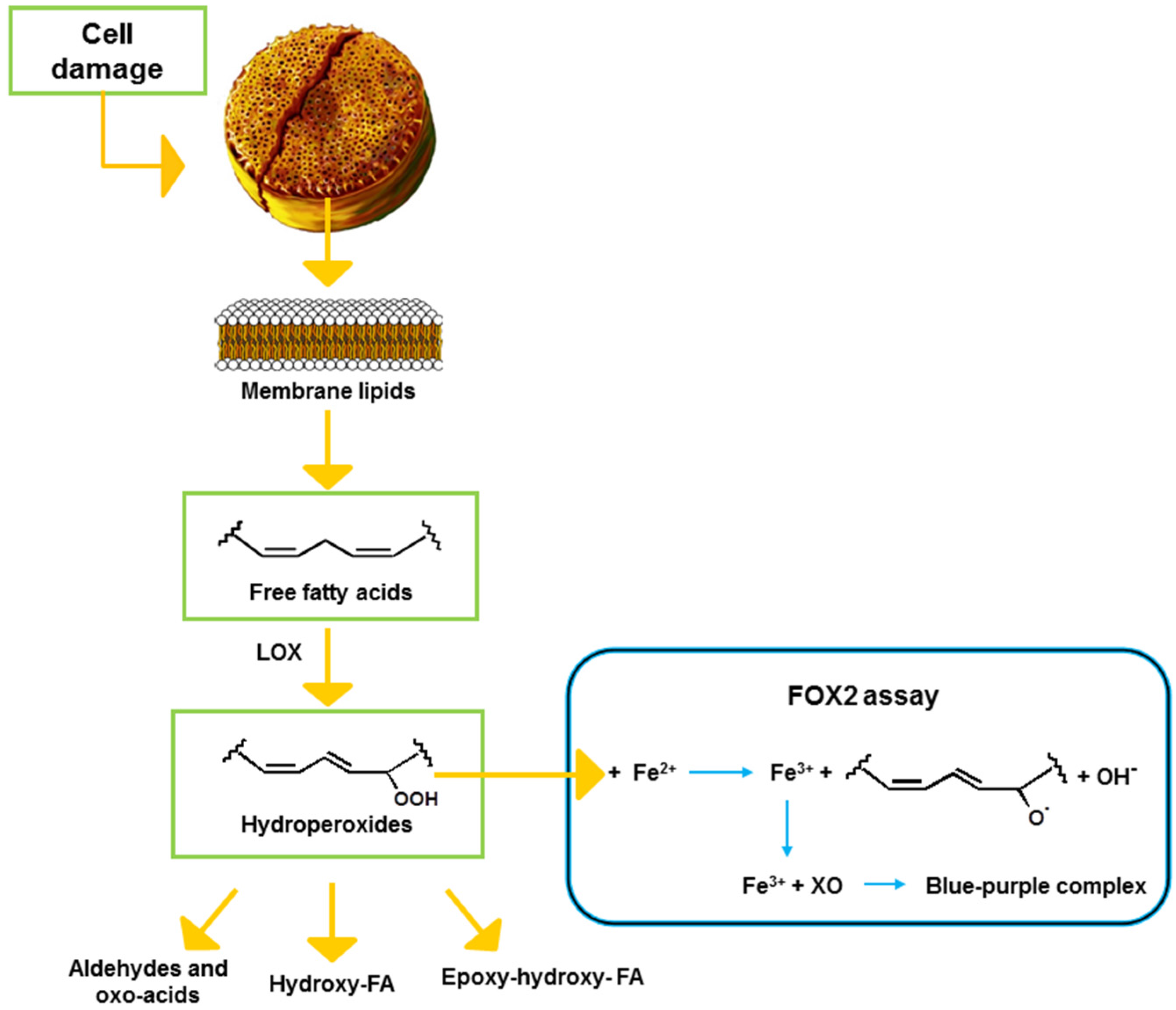 Marinedrugs 13 05767 g001