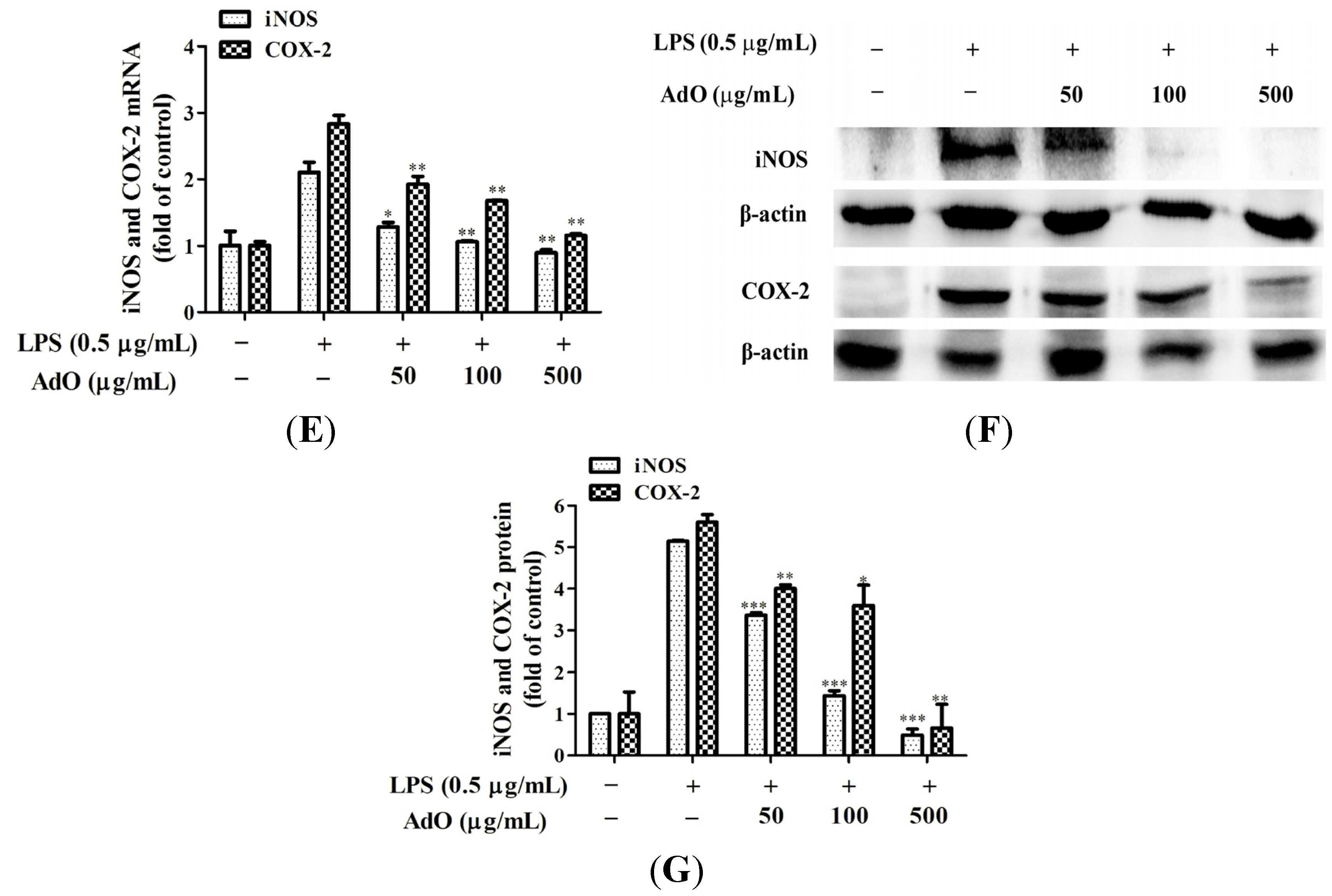 Marinedrugs 13 05828 g002b