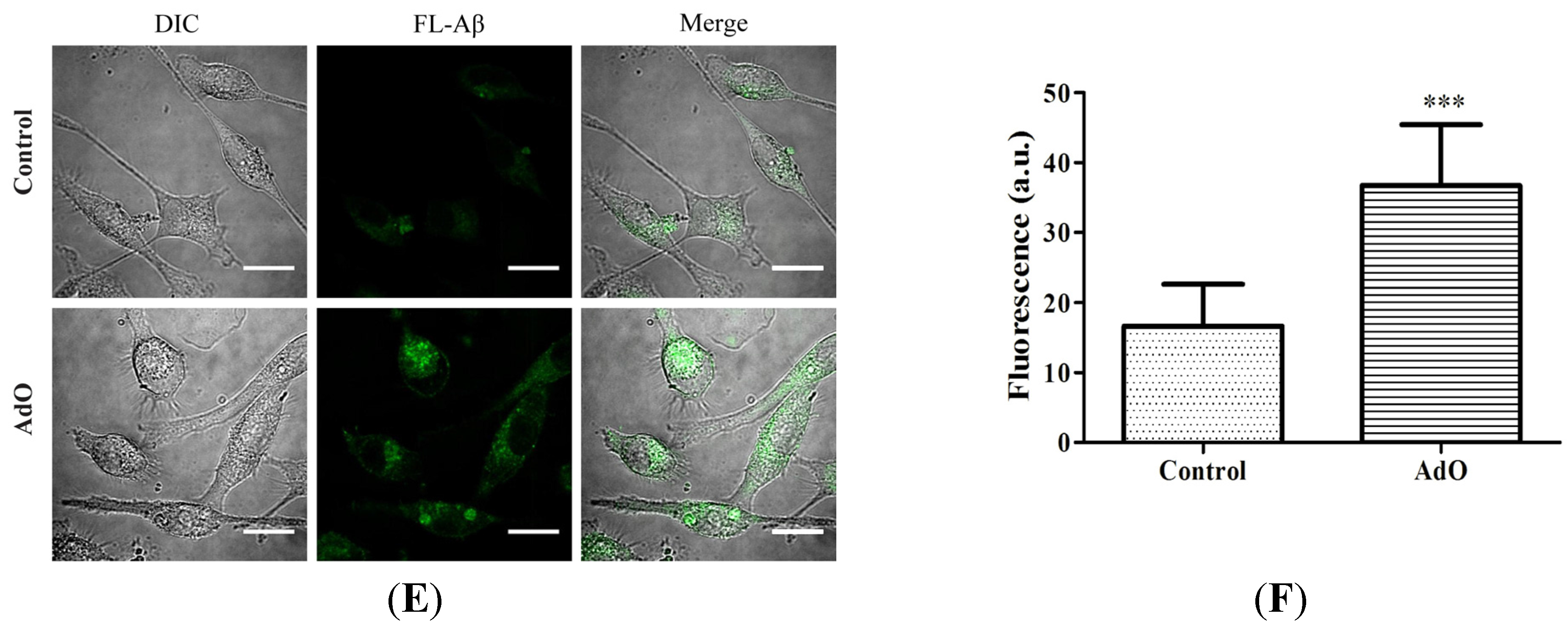 Marinedrugs 13 05828 g006b