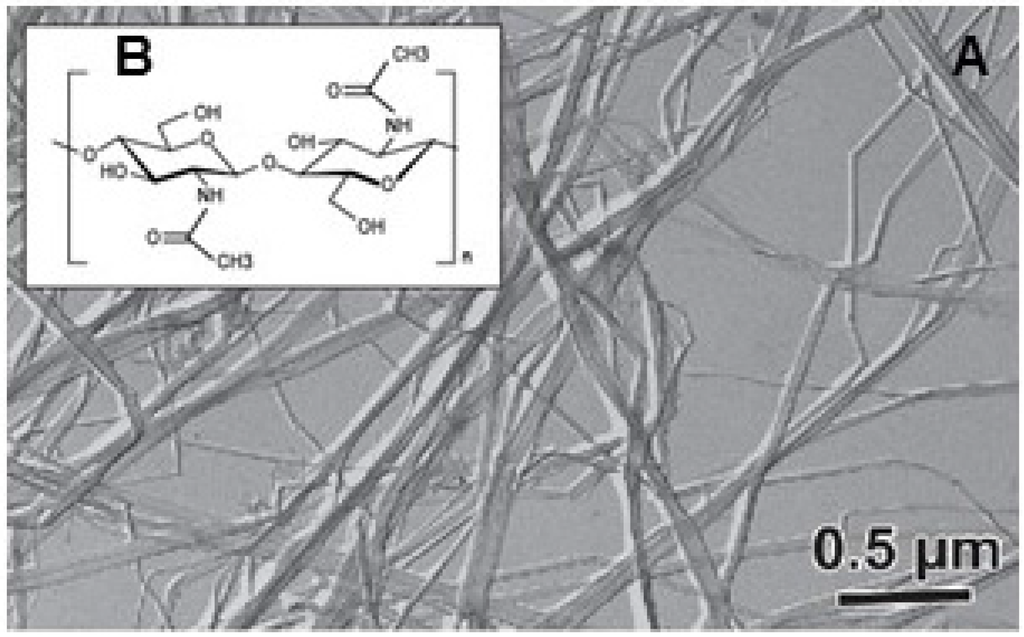 Marinedrugs 13 05993 g004 1024