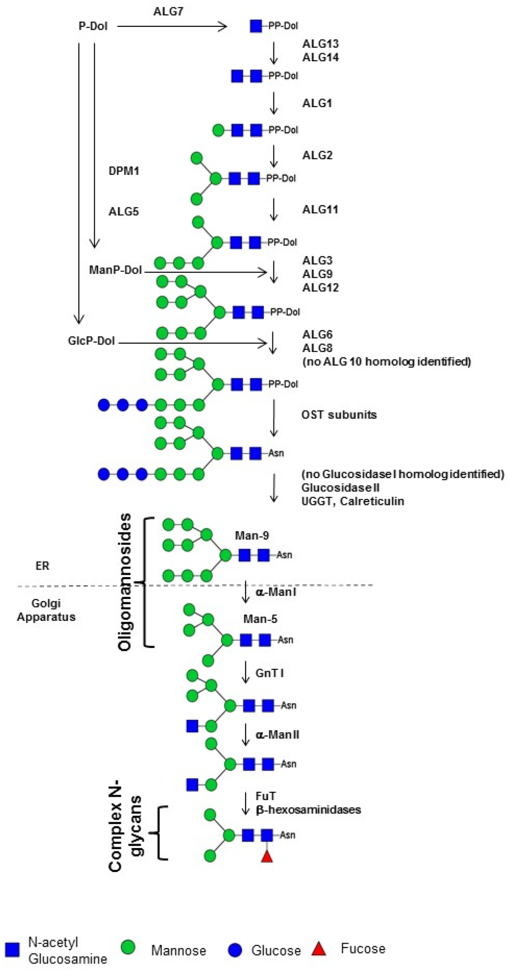 Marinedrugs 13 05993 g006 1024