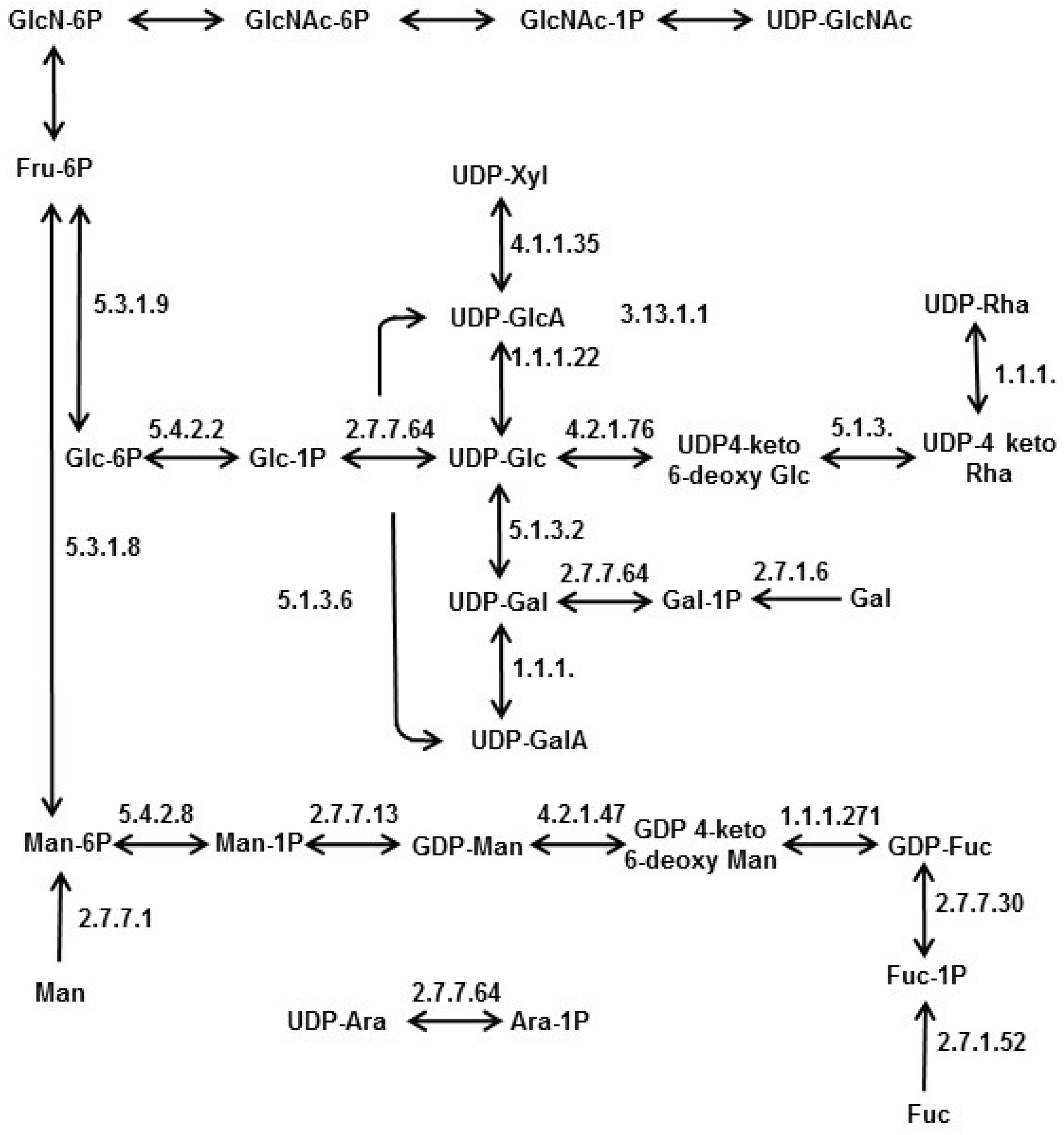 Marinedrugs 13 05993 g007