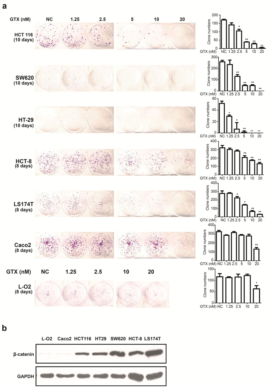 Marinedrugs 13 06259 g004 1024