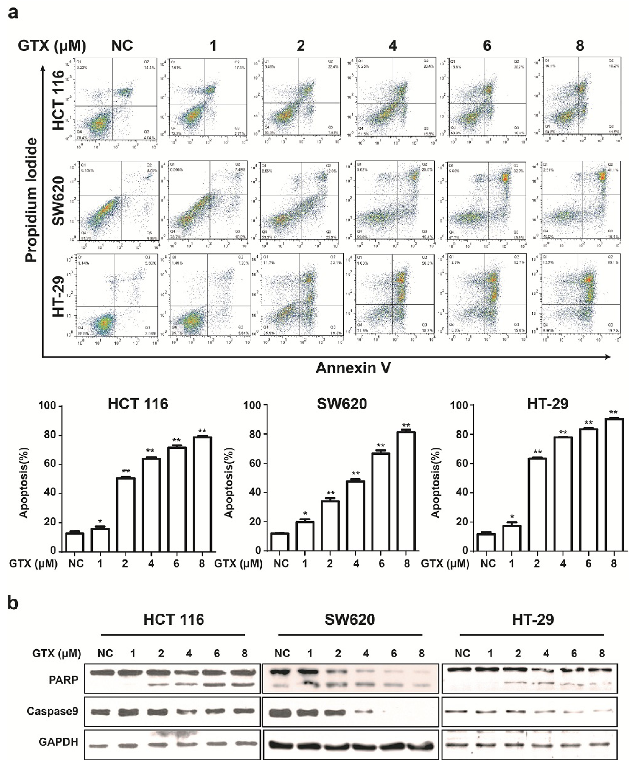 Marinedrugs 13 06259 g005