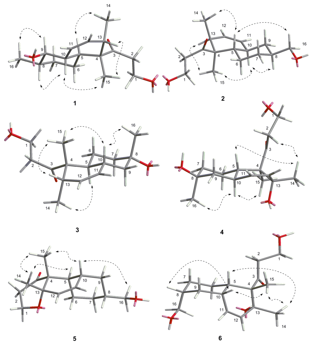 Marinedrugs 13 06306 g003 1024