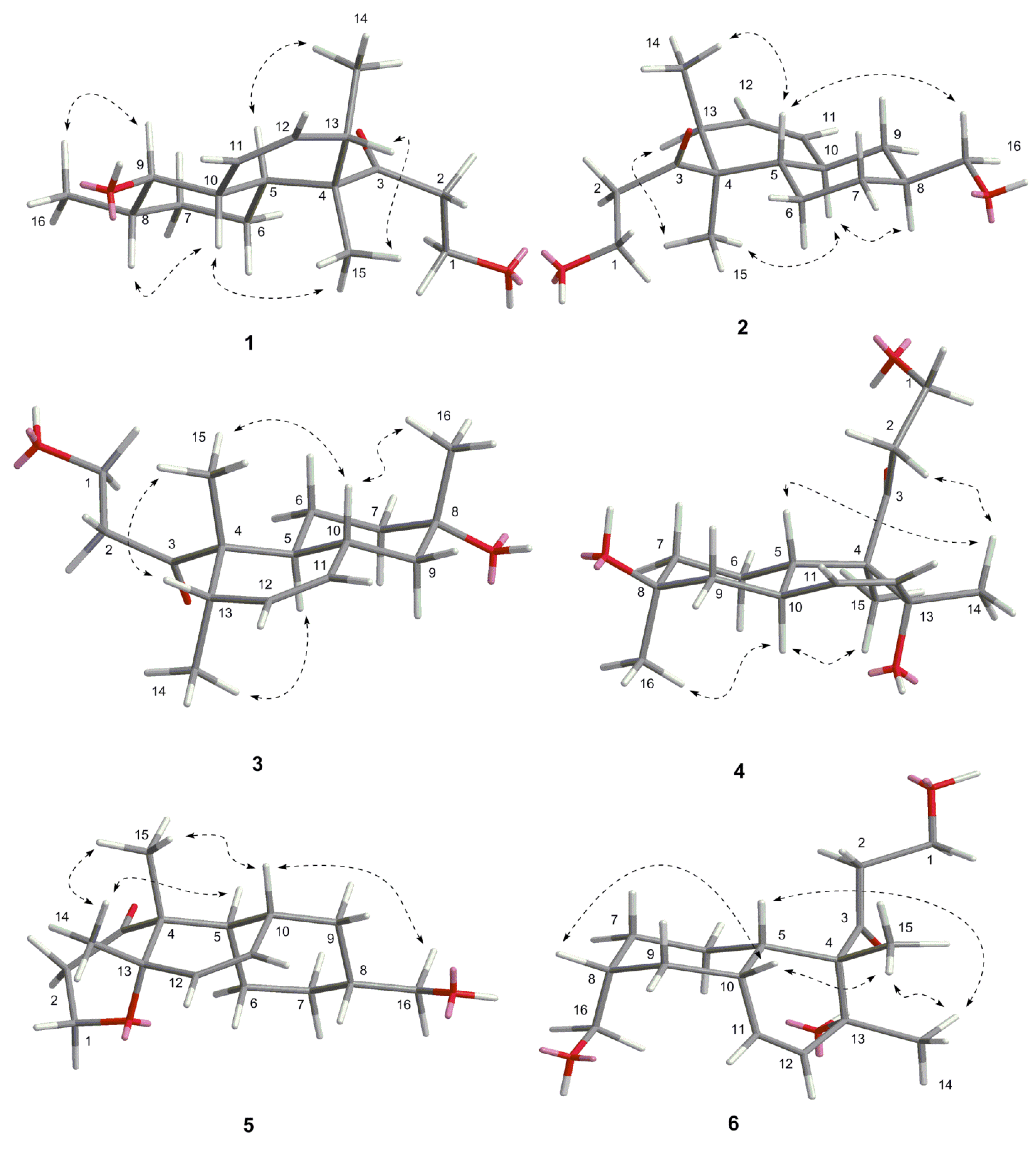 Marinedrugs 13 06306 g003