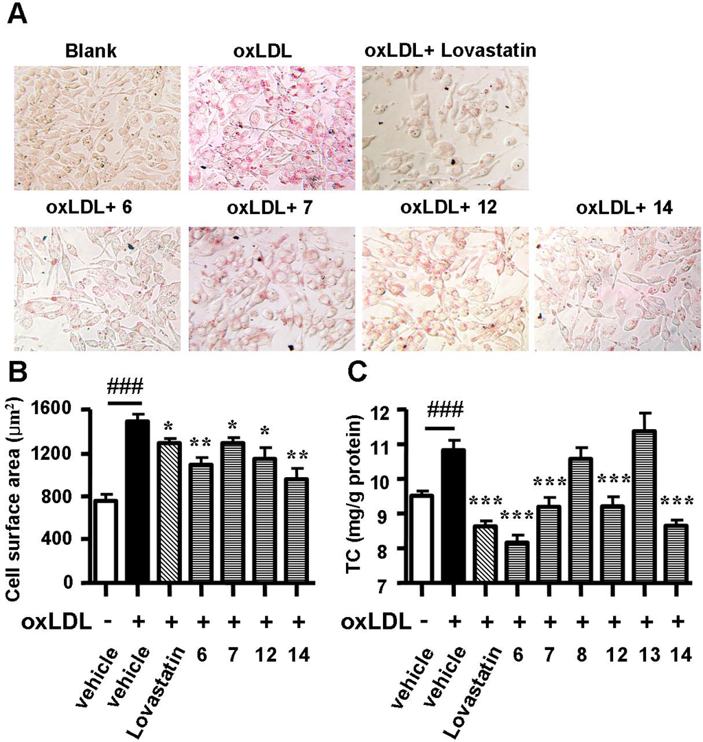 Marinedrugs 13 06352 g003 1024