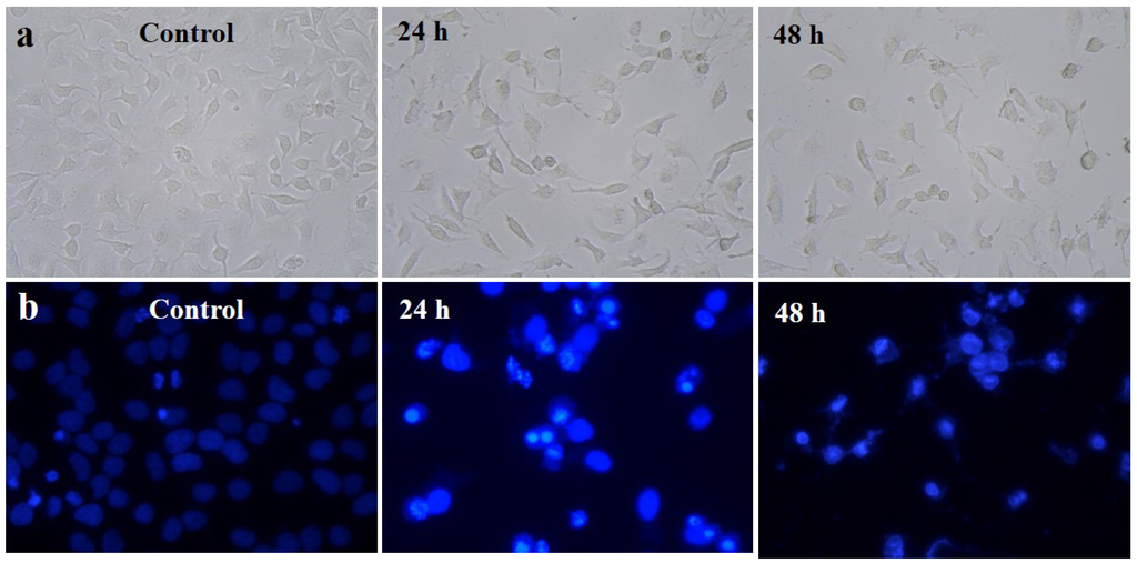 Marinedrugs 13 06818 g007 1024