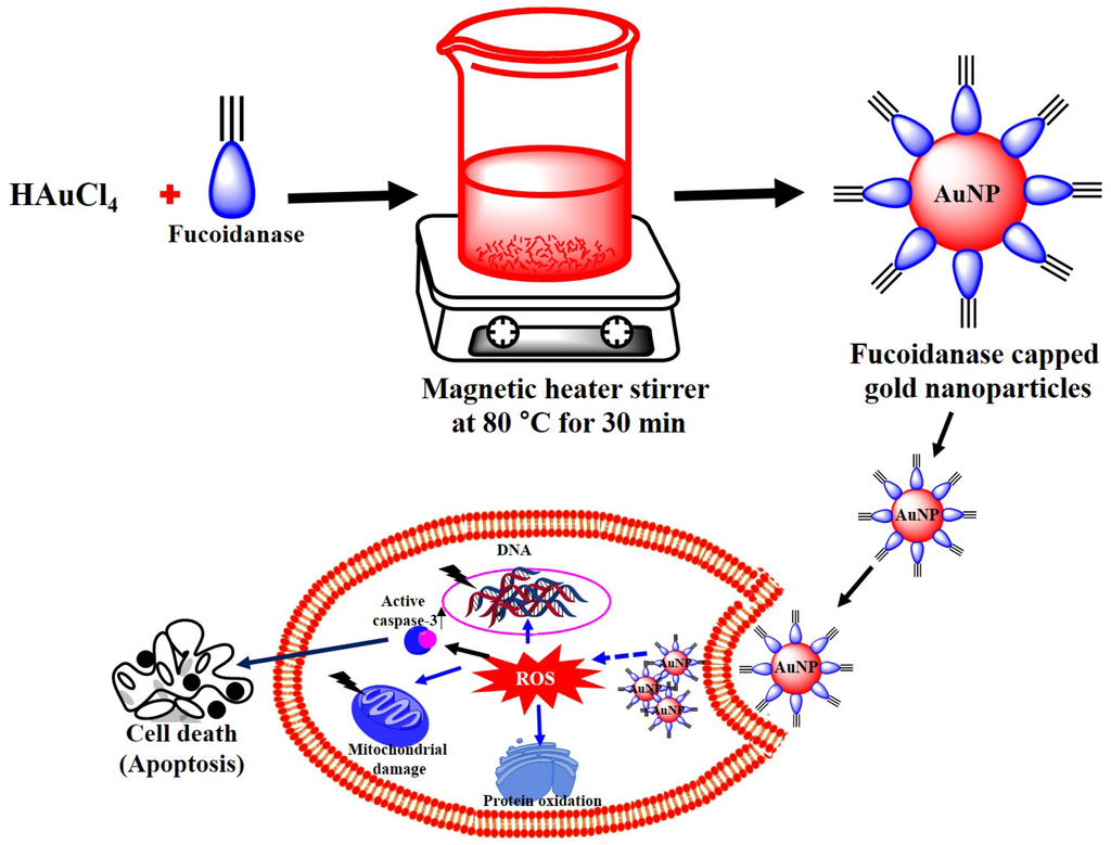 Marinedrugs 13 06818 g008 1024