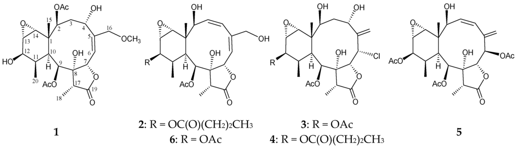 Marinedrugs 13 07060 g001 1024