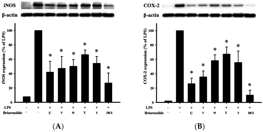 Marinedrugs 13 07060 g004 1024