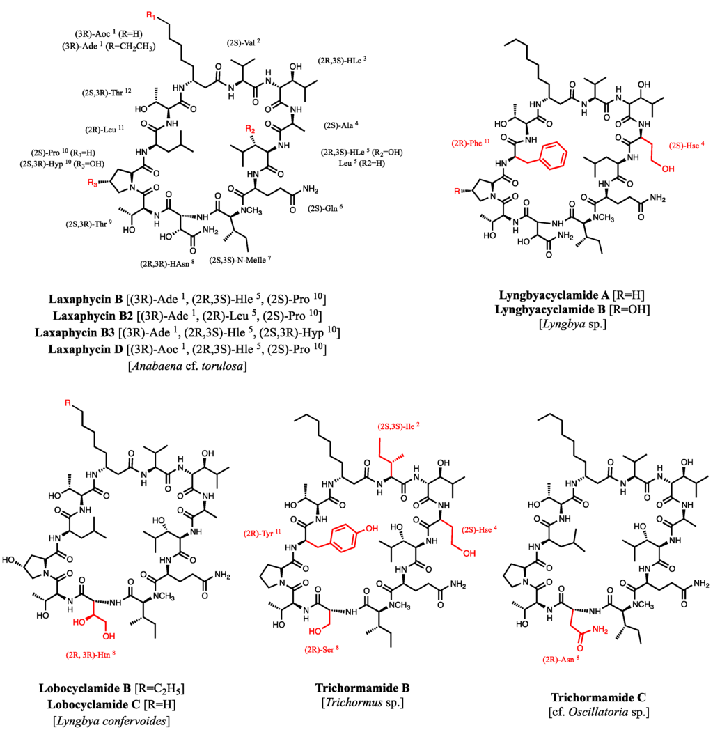 Marinedrugs 13 07065 g001 1024