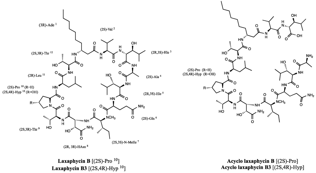 Marinedrugs 13 07065 g005 1024