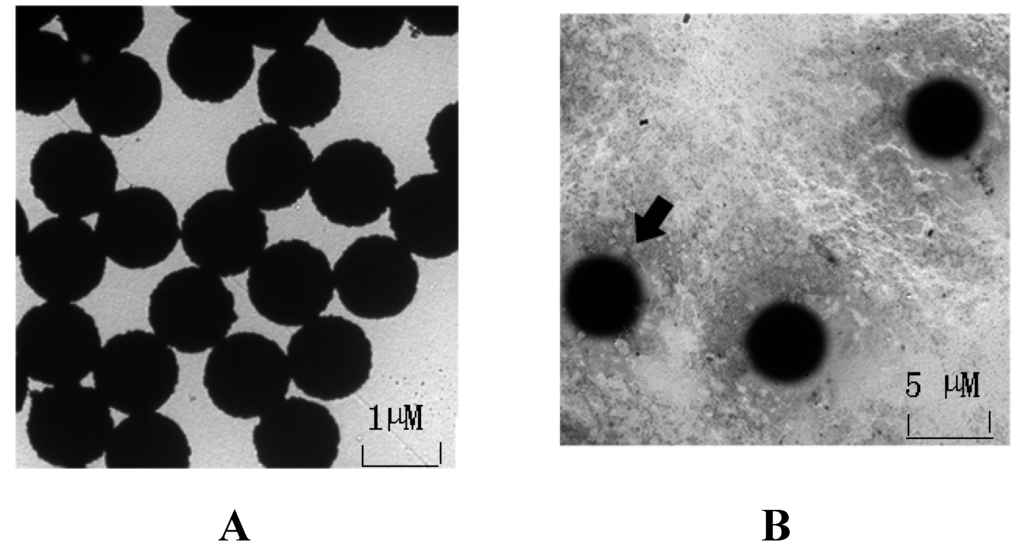 Marinedrugs 13 07066 g002 1024