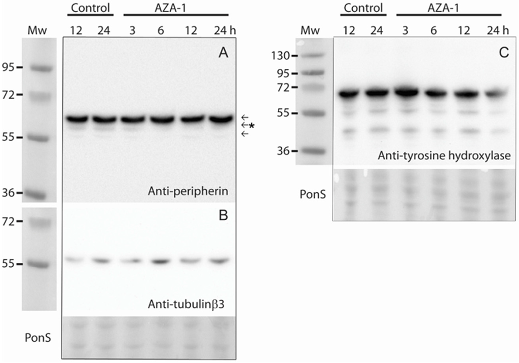 Marinedrugs 13 07072 g004 1024