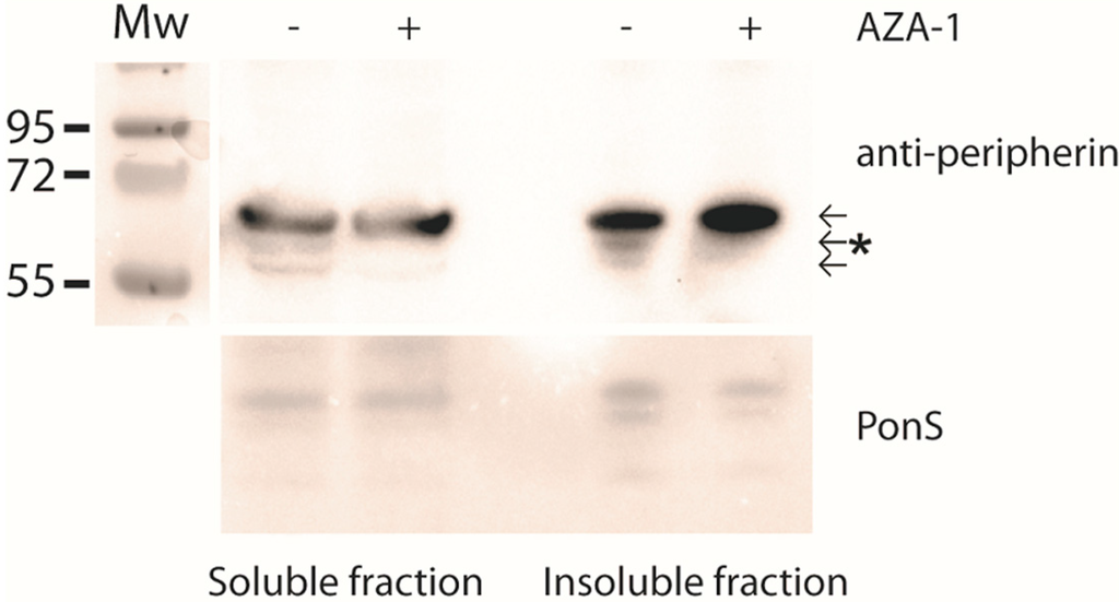 Marinedrugs 13 07072 g005 1024