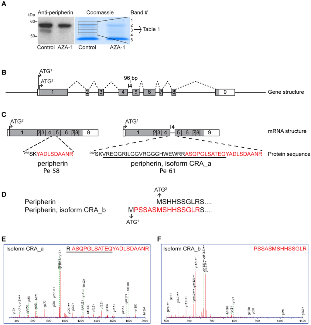 Marinedrugs 13 07072 g006 1024