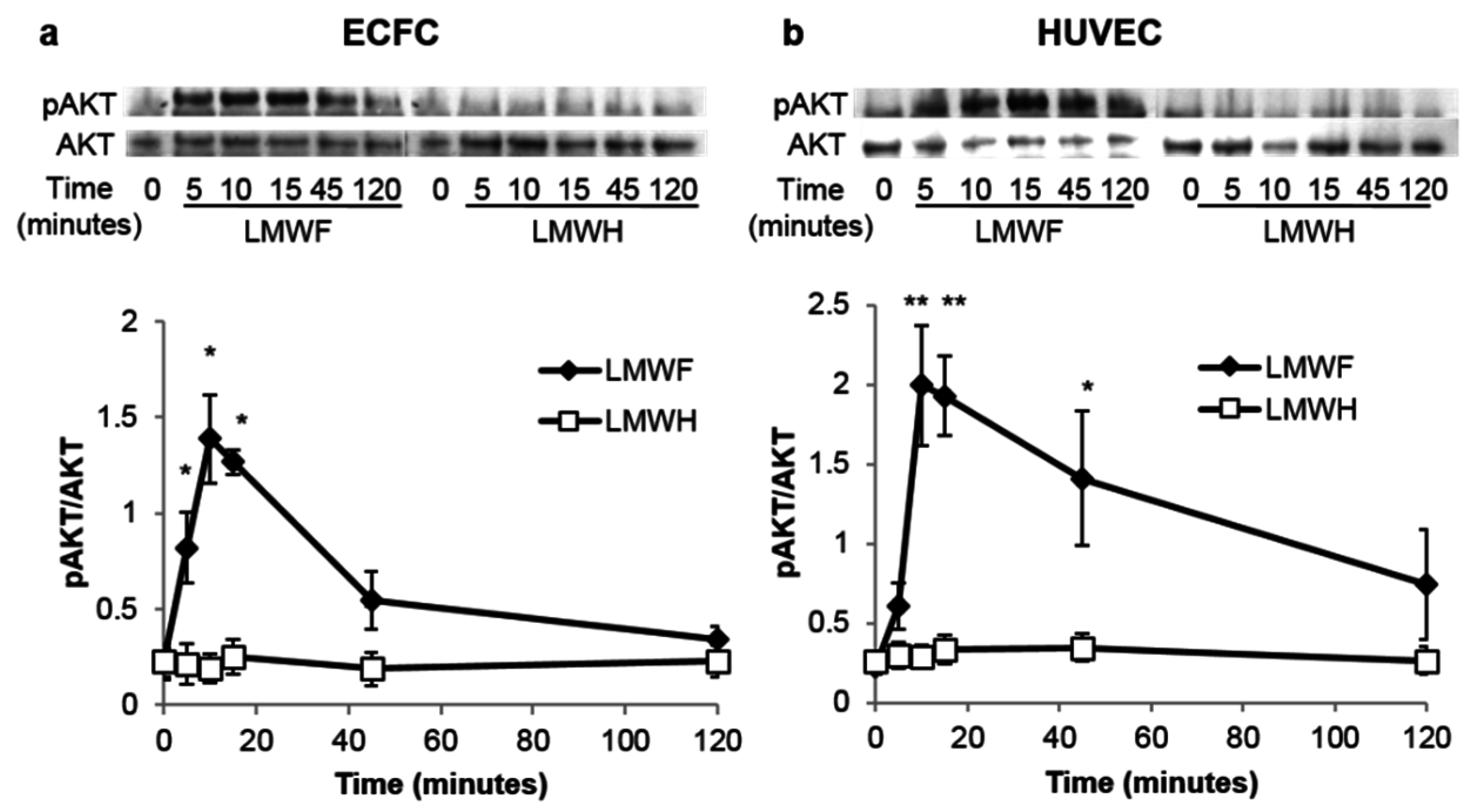 Marinedrugs 13 07075 g002