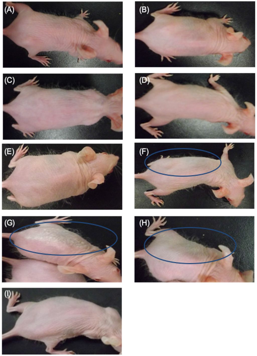 Marinedrugs 13 07076 g001 1024