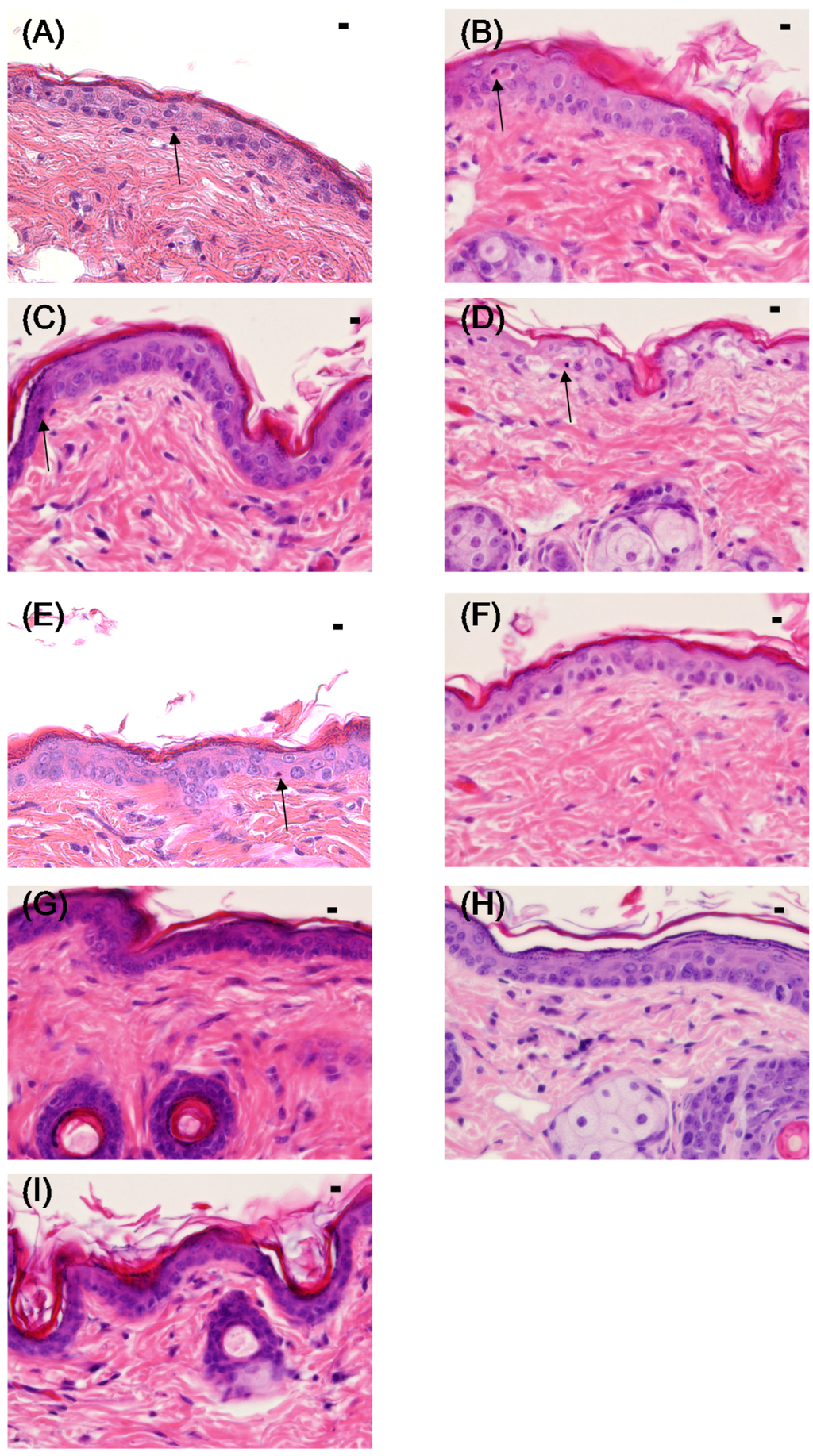 Marinedrugs 13 07076 g003 1024