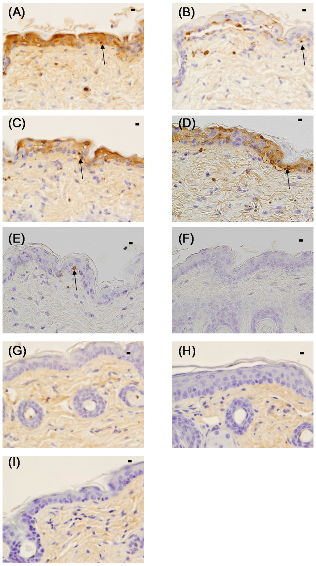 Marinedrugs 13 07076 g004 1024