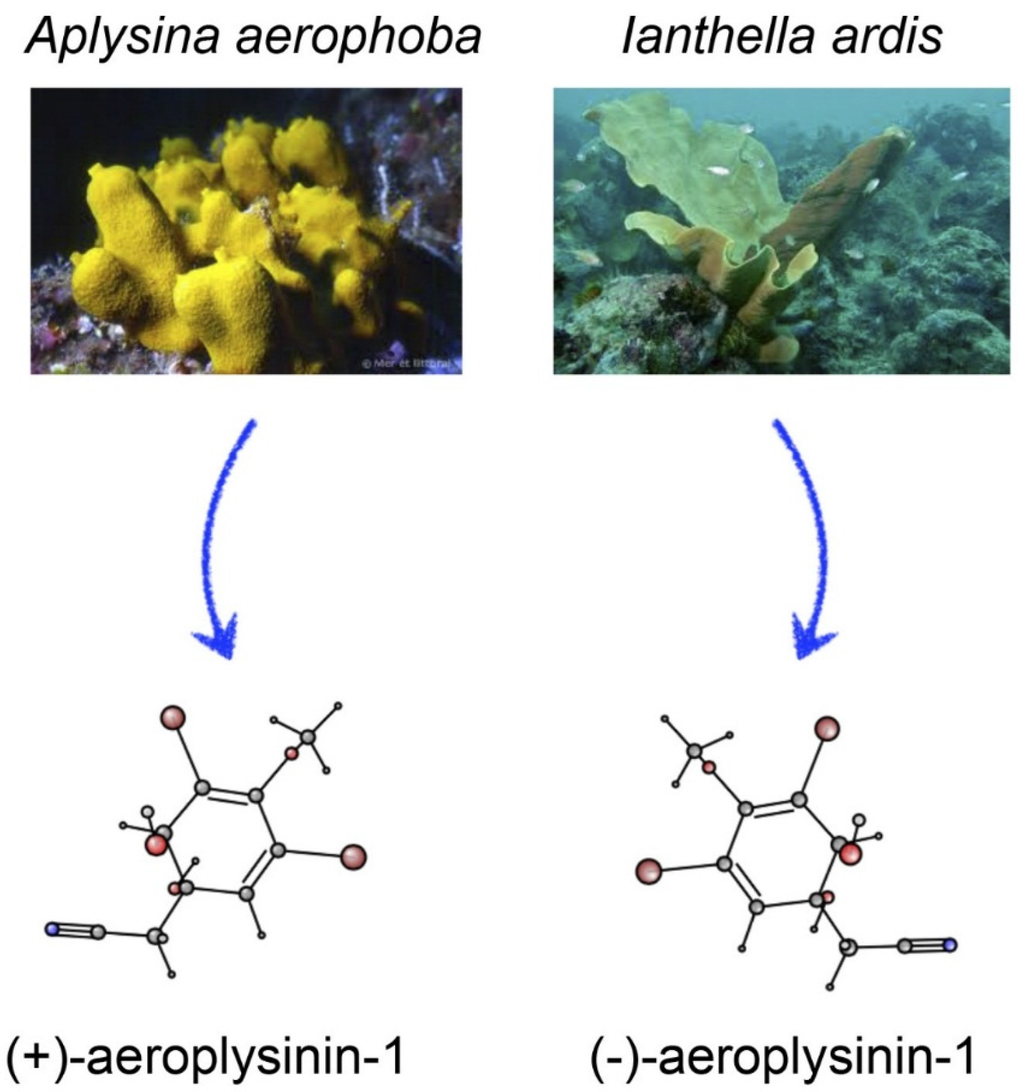 Marinedrugs 14 00001 g001 1024