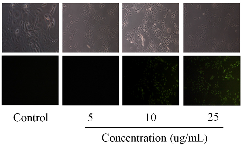 Marinedrugs 14 00002 g002b 1024