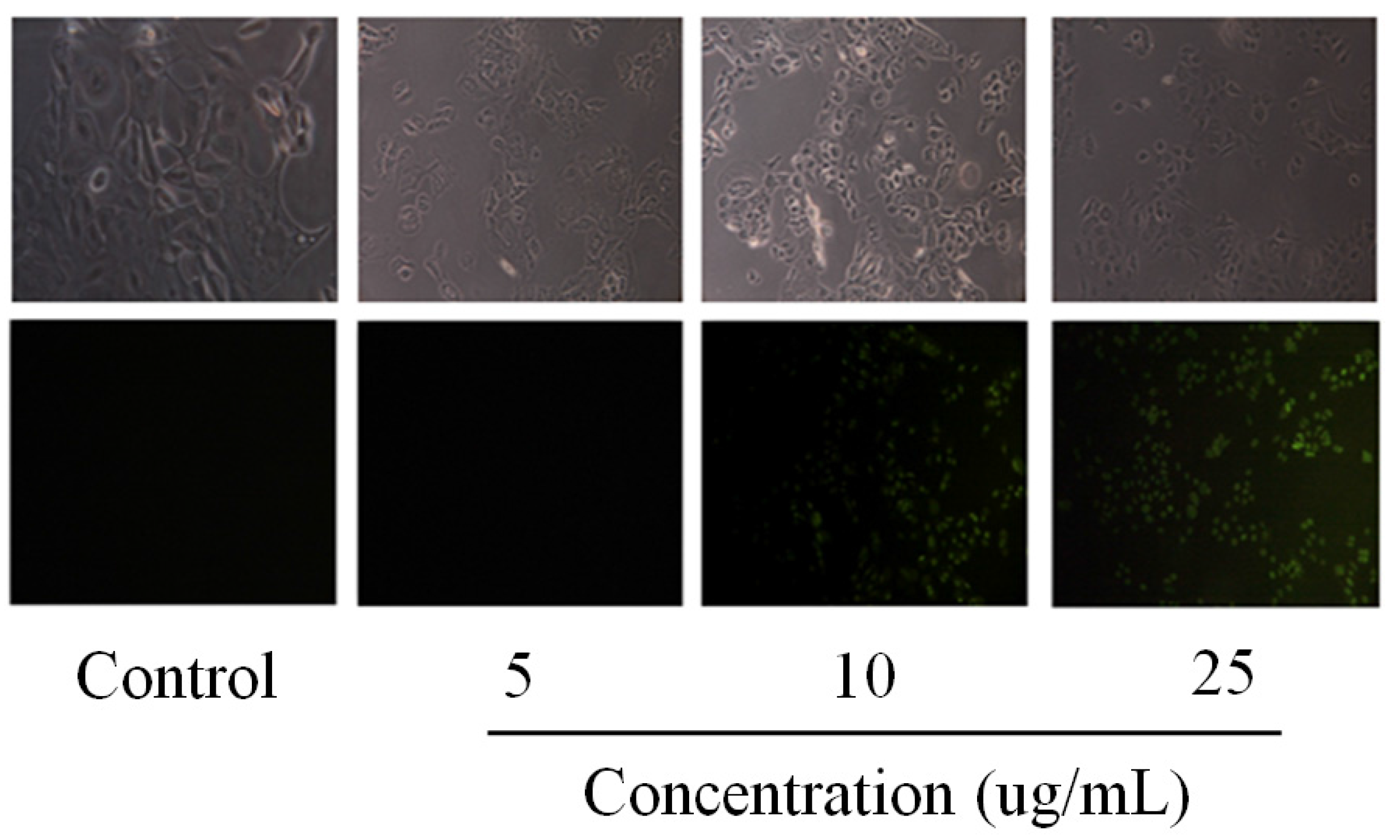 Marinedrugs 14 00002 g002b