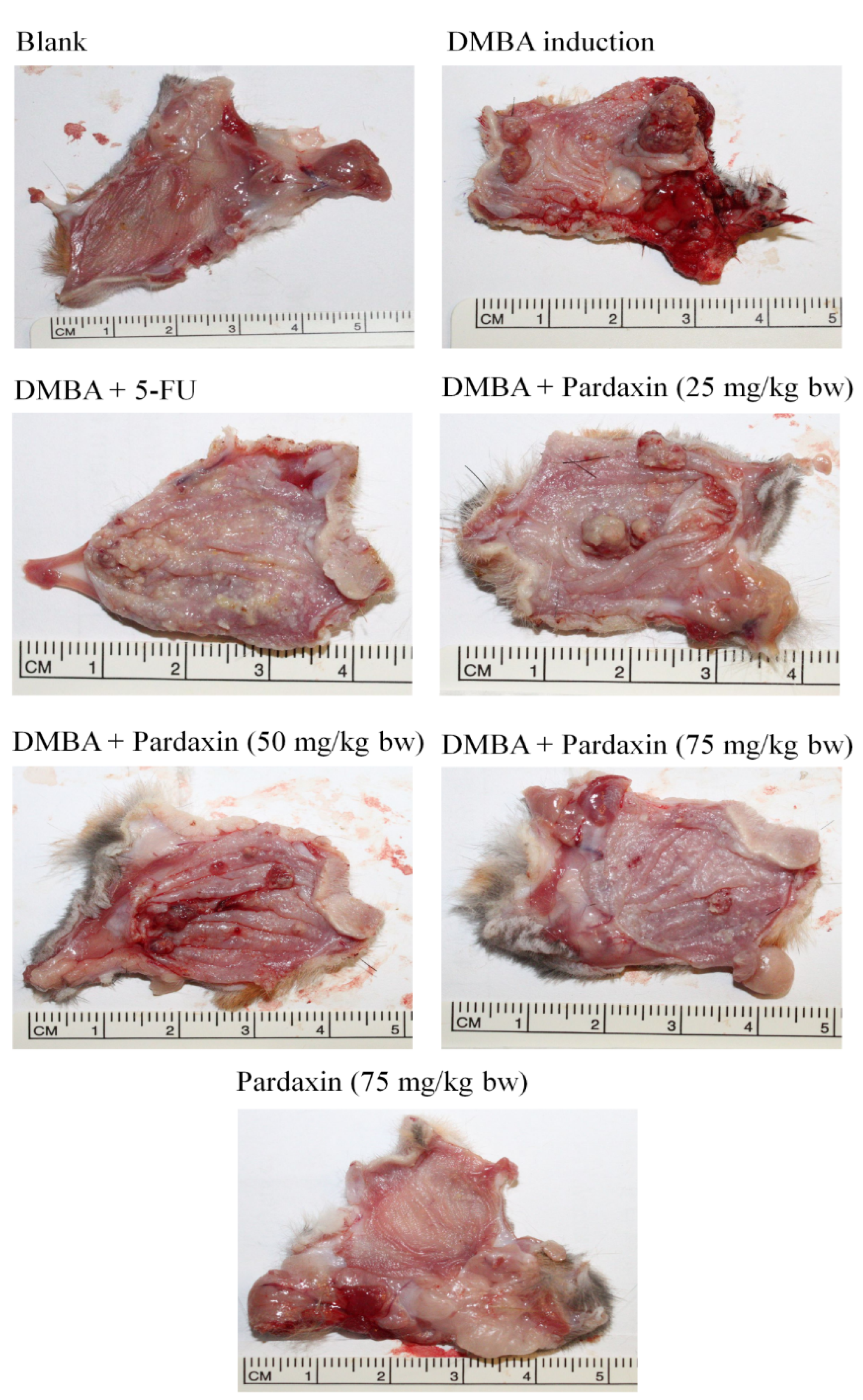 Marinedrugs 14 00002 g005