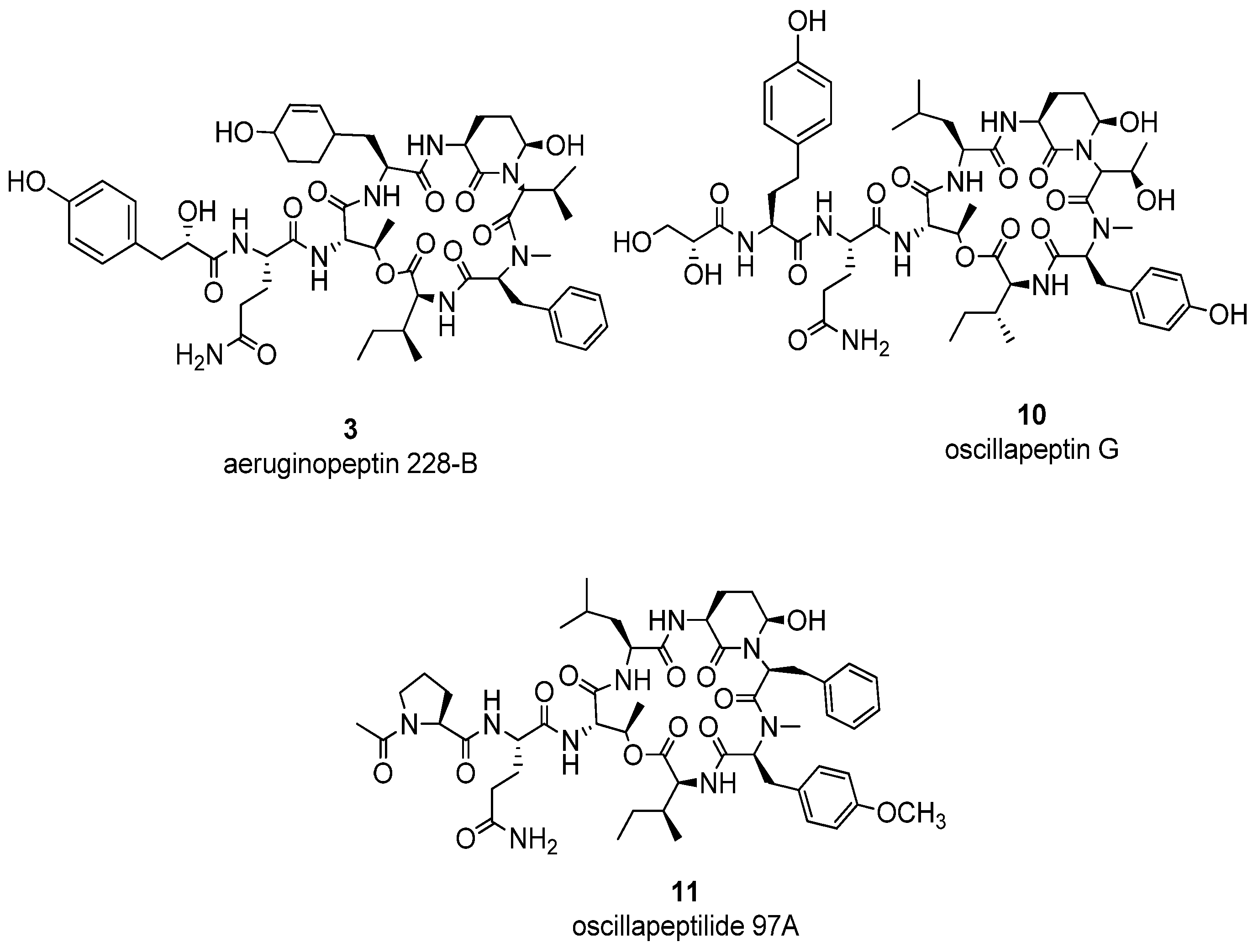 Marinedrugs 14 00007 g001