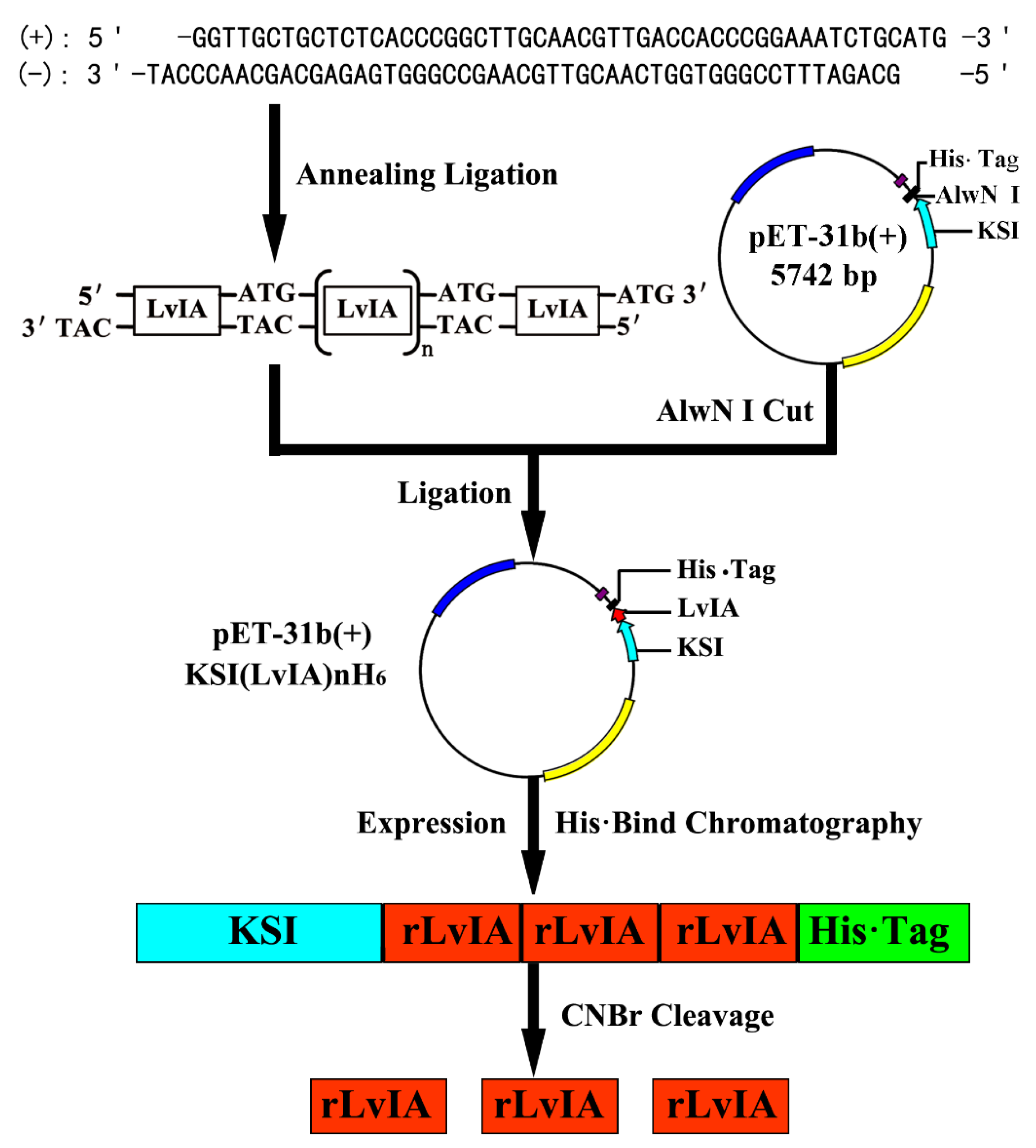 Marinedrugs 14 00011 g001
